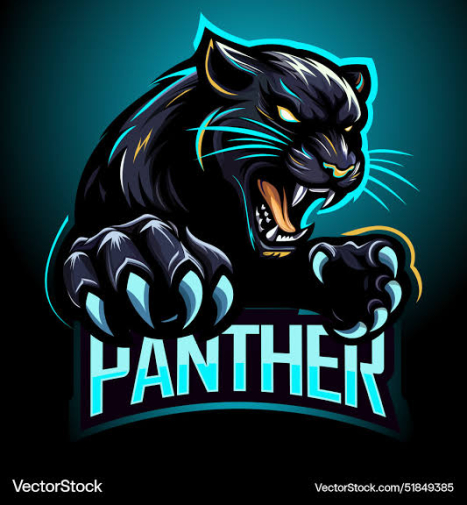 BLACK PANTHERS												