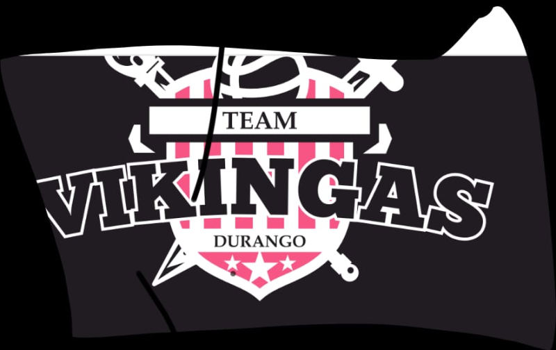 VIKINGAS												